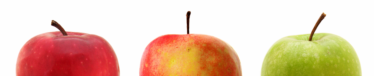 aa-Appel-a.png